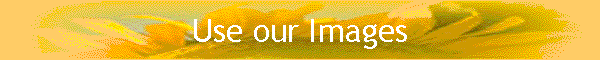 Use our Images