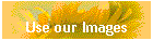 Use our Images